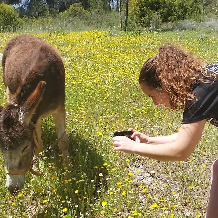 Rural Maravillas *